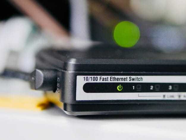 A screenshot of the DD-WRT firmware interface on a router, showing detailed VPN configuration settings. Various fields are visible, including VPN server address, port, username, and password, with a focus on advanced settings for OpenVPN.