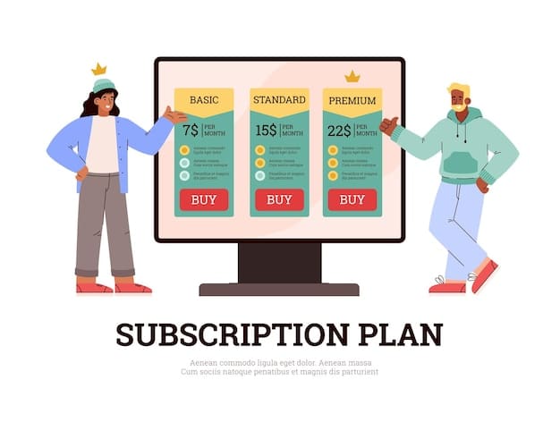A screenshot of a DDNS provider's website, showing a comparison chart of different subscription plans with features like custom domain support, dynamic IP updates, and customer support options highlighted.