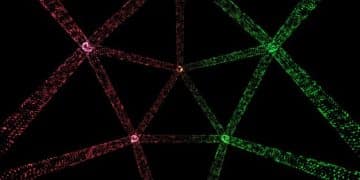 Network Segmentation: A Comprehensive Cybersecurity Guide - Cover Image
